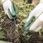 Fiskars 6-Piece Vegetable Garden Tool Set