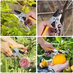Ergonomic Pruning Shears for Easy Gardening Tasks