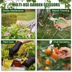Ceksezx 3 Pack Stainless Steel Pruning Shears & Garden Scissors, Premium Handheld Clippers for Gardening, Plants, Flowers, Shrub Trimming - Ergonomic Design with Durable Blades