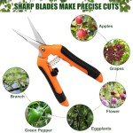 Ceksezx 3 Pack Stainless Steel Pruning Shears & Garden Scissors, Premium Handheld Clippers for Gardening, Plants, Flowers, Shrub Trimming - Ergonomic Design with Durable Blades