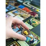 Lioness Games: Biome Deluxe - Hand Management Board Game, Nature & Seasons, Strategy Tableau Building, Educational Game, Age 10+, 1-4 Players, 60+ Min