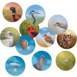 Thunderworks Games - Cape May | Seaside Resort City Building Board Game | Strategy Resource Management and Set Collection | Thematic Board Game | Ages 14+ | Family Game for 1-4 Players |60-120 Minutes