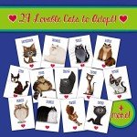 Cat Ladies of Maple Street - New! - Fun Family-Friendly Board Game | Deck Building Card Game | Card Games for Adults, Teens & Kids | 2-4 Players | 12+