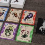 Doolittle Gaming Reincardnated A Turn-Based Deck Drafting Card Game - Strategy Party Game for 2-6 Players on Family Game Night