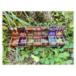 Familiar Tales Board Game - Cooperative Deck-Building Fantasy Adventure! Strategy Game for Kids & Adults, Ages 8+, 1-4 Players, 45+ Minute Playtime, Made by Plaid Hat Games