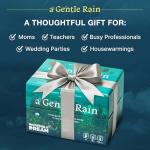 A Gentle Rain – Calming Tile-Laying Puzzle Game – Mindful Solo, 2-Player, or Cooperative Play in 15 Minutes – Soft-Touch Tiles & Wooden Blossoms – Compact, Giftable, Family-Friendly Board Game