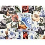 Wonderful World Board Games: Lone Wolves - Trick-Taking Area Control Board Game, Head-to-Head Dueling Card Game, Ages 14+, 2 Players, 15+ Minutes