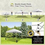CROWN SHADES 10x10 Easy Pop Up Canopy