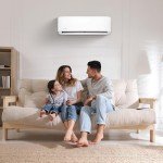 24,000 BTU 2 Ton Ductless Mini-Split Air Conditioner