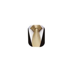 HISDERN Skinny Satin Ties for Men - Champagne