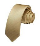 HISDERN Skinny Satin Ties for Men - Champagne