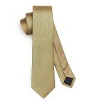 HISDERN Skinny Satin Ties for Men - Champagne
