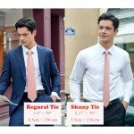 HISDERN Skinny Satin Ties for Men - Champagne