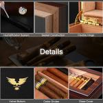 Bald Eagle Cedar Cigar Humidor with Glass Top