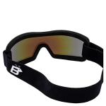 Birdz Wren Blue Mirror Sport Goggles for Adventure