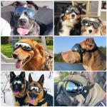 Dog Sunglasses for Medium-Large Breeds - Anti-UV