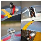 FMS P51 Mustang RC Plane for Adults