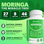 Moringa Capsules for Energy and Immune Support
