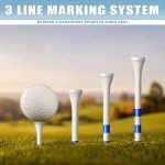 CHAMPKEY 200 Count Premium Wood Golf Tees