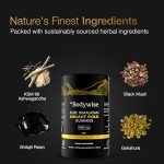 Himalayan Shilajit Gummies with Ashwagandha & Fulvic Acid