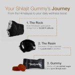 Himalayan Shilajit Gummies with Ashwagandha & Fulvic Acid