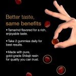 Himalayan Shilajit Gummies with Ashwagandha & Fulvic Acid