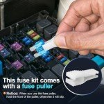 300-Piece Car Fuse Assortment Kit with Puller