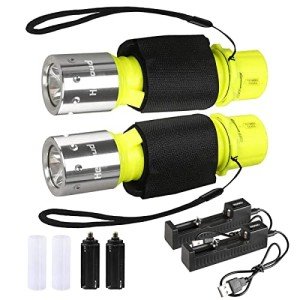 HECLOUD Waterproof Diving Flashlight - 2 Pack