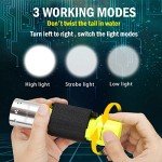 HECLOUD Waterproof Diving Flashlight - 2 Pack