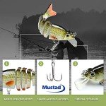 Lifelike Fishing Lures for Freshwater & Saltwater