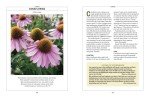 Old Farmer’s Almanac Flower Gardener's Handbook