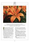 Old Farmer’s Almanac Flower Gardener's Handbook