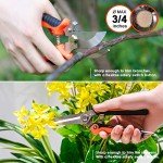 9-Piece Heavy Duty Stainless Steel Garden Tool Set