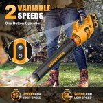 ALLOYMAN 40V Cordless Leaf Blower with Batteries