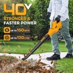 Alloyman 40V Cordless Leaf Blower with Batteries