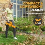 Alloyman 40V Cordless Leaf Blower with Batteries