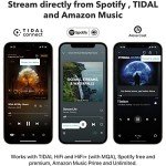 WiiM Mini Wireless Audio Streamer for Hi-Res Music