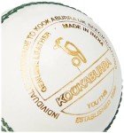 Kookaburra County League Cricket Ball - White