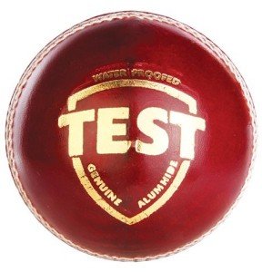 SG Test Men's Cricket Leather Ball - Red