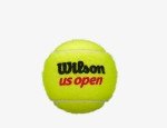 Wilson US Open X Duty Tennis Balls - 4 Pack