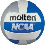 Molten Official Camp Volleyball - Blue/Silver/White