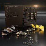 Professional Steel Tip Darts Set with Accessories