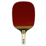 JISAM TRADE Champion XIOM M8.0P Ping Pong Racket