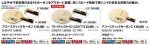 Nittaku NC-0385 Acoustic Carbon Table Tennis Racket