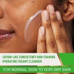 CeraVe Hydrating Cleanser for Dry Skin