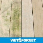 Wet & Forget Outdoor Cleaner - 2 Pack