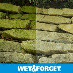 Wet & Forget Outdoor Cleaner - 2 Pack