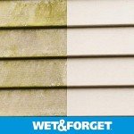 Wet & Forget Outdoor Cleaner - 2 Pack