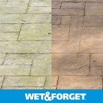 Wet & Forget Outdoor Cleaner - 2 Pack