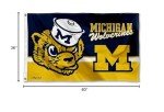 College Flags Indoor Outdoor 3x5ft